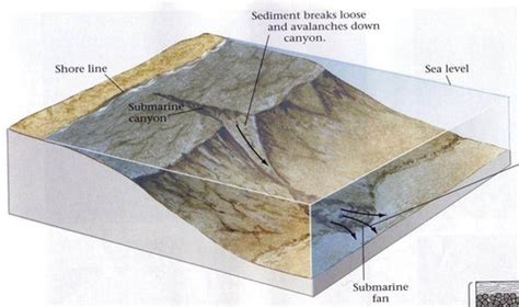geology flashcards|Geology Flashcards & Quizzes .